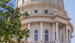 Contact you Michigan Legislator